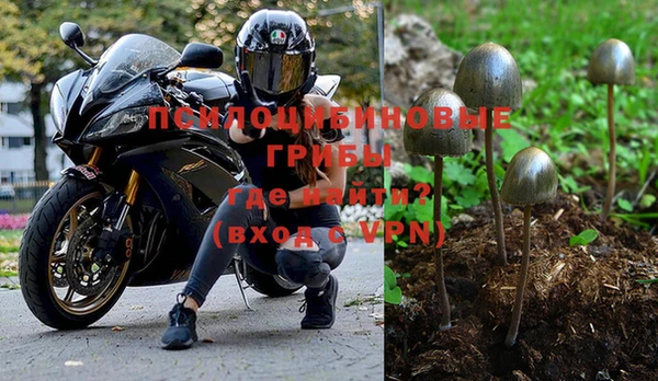 эйфоретик Абаза