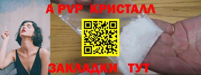спиды Новодвинск