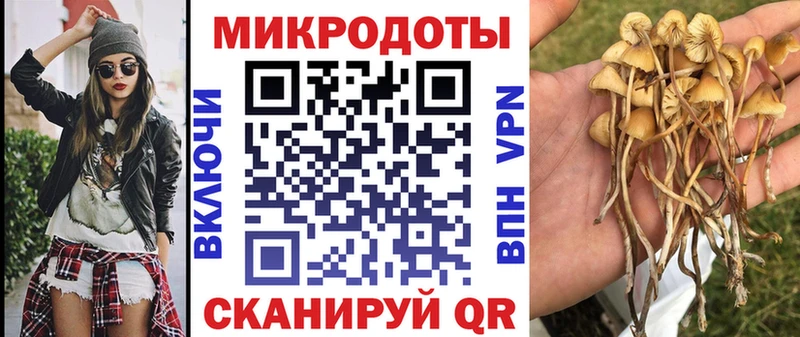 Галлюциногенные грибы Psilocybe  Сарапул 